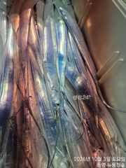 [통영] 갈치황제낚시로..ㅠ 사진