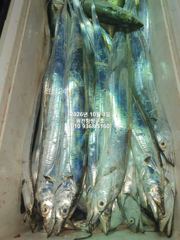 내만갈치)사이즈업업~손맛이 환상적입니다~예약가능 사진