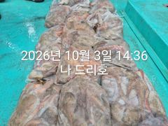 3일, 군산은 지금 ~싸이즈 확실한 덩치급 문어가~ 망탱이 굿굿조황~군산낚시프라자 나드리호 사진