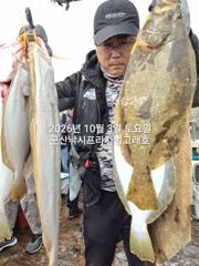 [군산] 9월30일,"대광어"날마다 초대박조황~200수 넘었다~ 참돔,… 사진