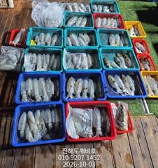 팁런무늬오징어 매일 잘 나와주네요 내일예약가능합니다 사진