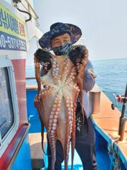 양양 낙산항 동해호 사진