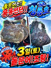 <고흥녹동>청룡호 3일 돌문어 대박조황 소식!! 사진