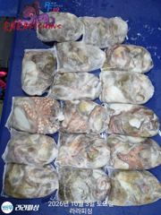 2일(야간문어) 일.월.화.쭉욱 예약가능 덩어리마릿수 손맛보러오세요 사진
