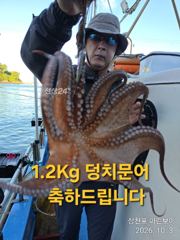 [사천] 삼천포 마린보이 10. 3. 토요일 싸이즈 마릿수 풍성한 주간문…