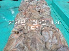 3일, 군산은 지금 ~싸이즈 확실한 덩치급 문어가~ 망탱이 굿굿조황~군산낚시프라자 나드리호 사진
