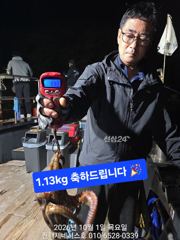 [진해] 문어] 일요일 오후출항(오후3시~밤12시) 예약가능~ 대물올리고… 사진