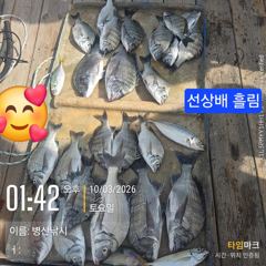 병산 감성돔38외 마리수 선상배&선외기 흘림조황~~ 사진