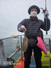 갑오징어 조항 사진