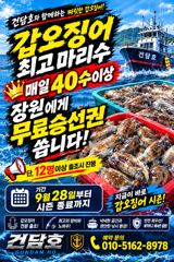 (건담호)3일 갑오징어 말이필요없는 조황^^ 담주쟈리여유 사진
