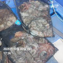 포항 종방)제2대일호 10월 3일 사진
