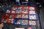 예진호 10월3