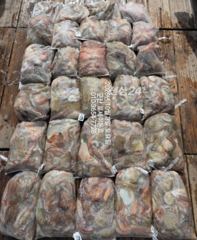 ♦♦포세이돈호⇒문어 굿굿 조황 10.3 사진