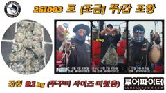 루어파이터호-10/3 토 [조금] 쭈꾸미/갑오징어 조항 입니다.
