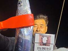 10월3일-문어 굿굿 조황