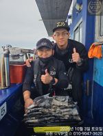 10월 03일 오천항VIP호 쭈꾸미&갑조황 사진