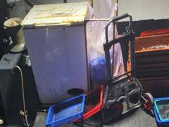 10월2일자 씨알좋은 무늬오징어 잡고 왔습니다 사진