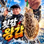 [팀바이트호] 10월3일 갑오징어 낚시