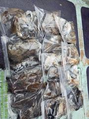 타이푼호 글만 보기 사진