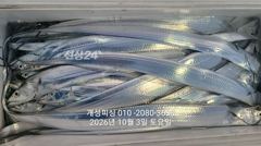 3지급 내만갈치 느나느나 조항 오늘 1자리 예약가능!! 사진
