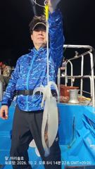 팁런조황입니다 사진