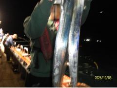 백도권 갈치출조 조항 10월 7일 11일 자리여유