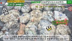 10월3일 홍원항힐링호 Good~ 쭈갑문 조황~!이틀 바람파도후 출조길..다행히 바다상황이 많이 좋와졌네요 ㅎㅎ장원두분 8.5kg오바 전원 5kg~7kg씩ㅋㅋ 조심히 올라가세요^^ 사진