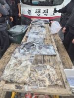 [쭈갑백조황] [뉴행진호] 26년 10월 3일 갑오징어 조황