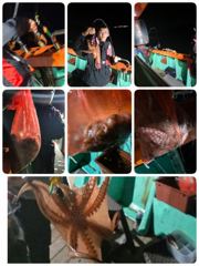2시간전 [군산] 10/3. 군산. 대한낚시. 가을. 갑오징어. 조황 사진