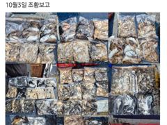 26년10월03일 대천항봉선장 아이언호 쭈꾸미조황 사진