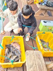 10월 3일~5일 조황입니다~^^ 사진