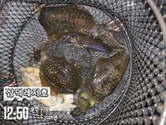 똥바람통,무늬들,(오늘,좋은날씨,원도권,출항확정,자리널널) 사진