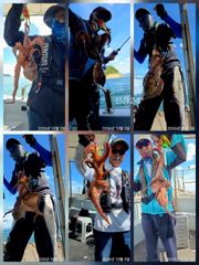 칠성호 돌문어 제법 잡았습니다 ~~