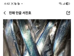 [진해] 내만갈치 선비 이벤트 사진