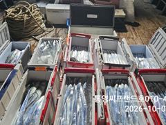 바람속에서도 갈치들이 올라오네요.. 오늘도 먼바다 출조합니다. 같이가실 조사님들 예약하세요 사진