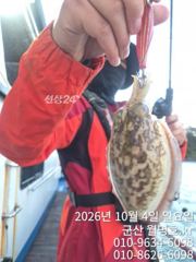 4일 오전 실시간 사진
