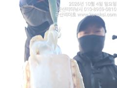 ⭐군산리더호⭐금일실시간 잘나와요(6,7,8갑이여유자리)