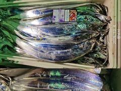내만갈치 씨알급들 깔~끔하게 쓸어담았습니다!! 사진