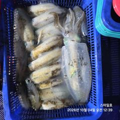 (팁런)강풍 속 무늬무늬~72수 씨알급들 속출~스마일호(오늘 예약) 사진