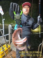 [진해] 문어 내만 문어 초보도 반 피딩 1.5kg 최고 18수 15수 … 사진