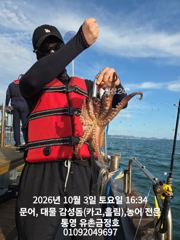 [통영] 통영 금정호 오후문어 키로급문어들이 쩍쩍붙어줍니다 월요일 자리여… 사진