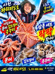 [사천] 주꾸미 실시간 & 야간 돌문어 3일조황 사진