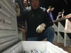 오늘3자리10월4일 밤새강한 바람 높파도 이만큼의 조과 감사합니다