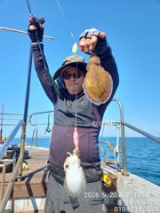 260920일(1물) 무심한 조류, 이로운 바람! 본문 기타 기능 프로필사진 온누리호