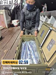 [진해] 먼바다[갈치/텐빈]4일입항 쿨러조황~2.5~4지급까지[수요일부터… 사진