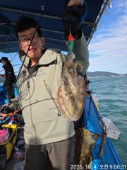내만 쭈꾸미 조황