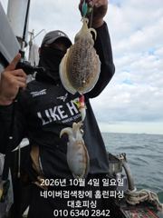 군산 대호피싱 10월4일 쭈꾸미 마무리 소식 전합니다 갑오징어가 쌍걸이로 나와요