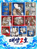 오이도 대양2호 조황사진(26.10.04) 사진