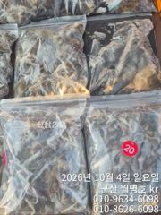 4일 쭈꾸미 오후반 사진