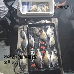 [거제] 거제외포 감성돔 흘림
